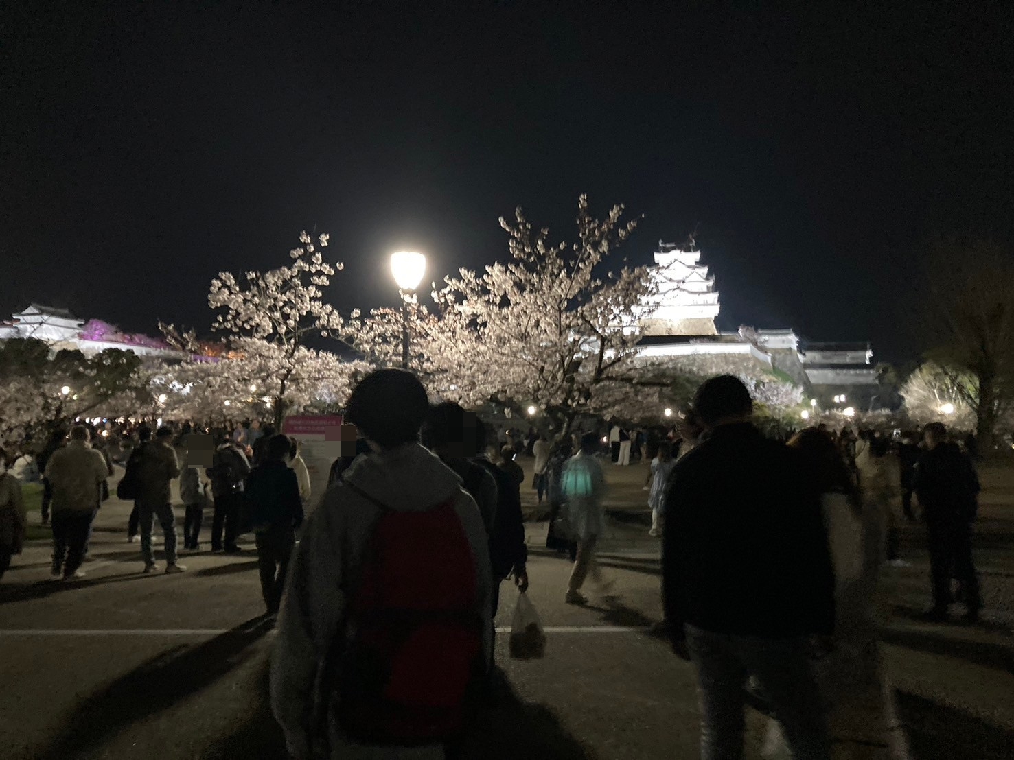 姫路城で夜桜会☆